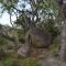 Leopard Tree Retreat - Nelspruit