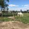 Le Cottage de Romas