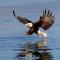 Moonriver Self Catering