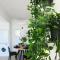 Phaedrus Living: Seaside Modern Flat Lighthouse 63