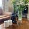Relaxing townhouse in the heart of Bridport - 布里德波特