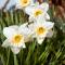Tros Yr Afon Holiday Cottages and Manor House
