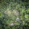 Villa Toucan with National Geographic Views - 别霍港