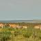 De Hoop Collection - Equipped Cottages