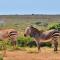 De Hoop Collection - Equipped Cottages