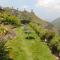 Cherry Blossom Homestay
