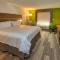 Holiday Inn Express & Suites - Omaha Downtown - Airport, an IHG Hotel