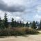 Denali Park Hotel