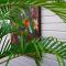THE BAHI VILLA - Adults Only B&B - Les Trois-Îlets