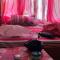 Rigzen Homestay