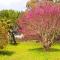 Casas Herdade do Convento da Serra