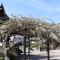 Temple Hotel 正暦寺