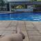 Flat Clarissinha