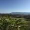 Les Palmiers