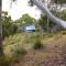 Denison Rivulet Retreats