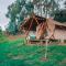 Glamping rio frio Tabio