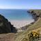 Tremanhire Cottage - Solva