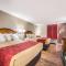 Econo Lodge Inn & Suites - Macon