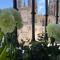 BELLA VISTA Catedral-Apartamentos Burgos Catedral