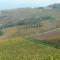 Agriturismo Il Bricco - 特雷伊索