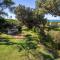 Surfspray I Pet Friendly I Absolute Beachfront