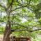 Amafu Forest Lodge - Hoedspruit