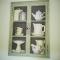 Mycosy 605