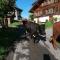 Brunners harzerhof