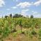 Beggars Bridge Vineyard Homestead with pool and tennis