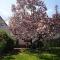 Ferienhaus MagnoliAhr