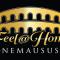 Feel@Home Nemausus « Le 21 » - Ним