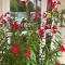 Fasthotel Saint-Amand-Montrond photo 23