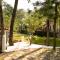 Kasauli Nature Inn