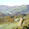 Peak District Shepherds Hut