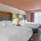 Holiday Inn Atlanta-Gas South Arena Area, an IHG Hotel - Дулут