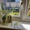 The Coach House Holiday Cottage, Southport