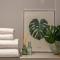 Roseland Apartment 1