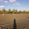 12B Jaco Sol Quadplex