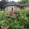 Le Jardin Sauvage photo 8
