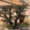 Locanda San Paolo