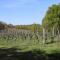 Gites at Le Prielle - 马迪朗