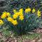 Schoorl Seasons Garden House 2026