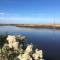 Le Teich Tranquille