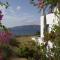 Blue Frames Summer House - Ándros