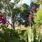 Garden House in Corfu
