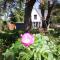 Ferienhaus-Achterwasser-Usedom