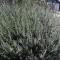 Knysna Budget Friendly Stay