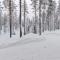 Holiday Home Ilves by Interhome - Kotila