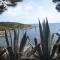 WEEK END EVASION A BANYULS SUR MER DANS PYRENEES ORIENTALES