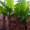 Semi-detached villa sea views, huge terrace, close beach